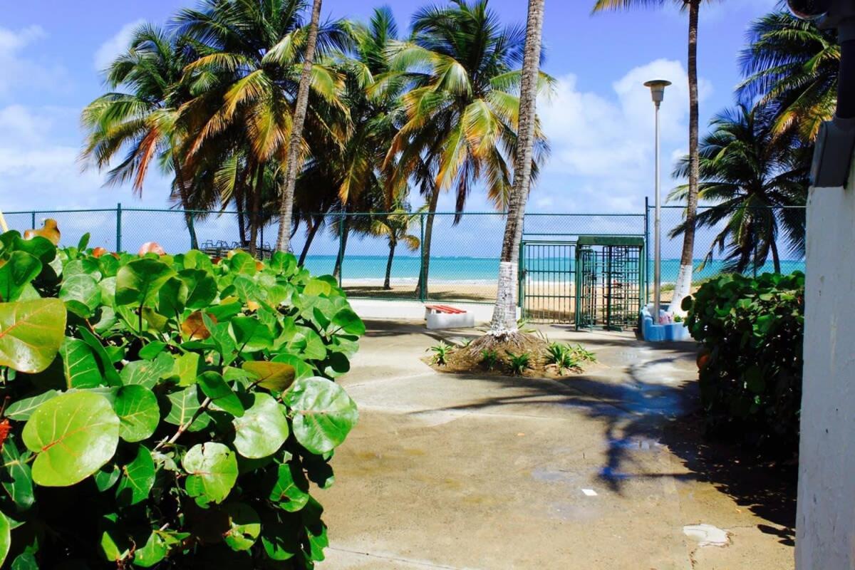 2Br Gem Ocean Front Building Isla Verde Beach San Juan Exterior photo